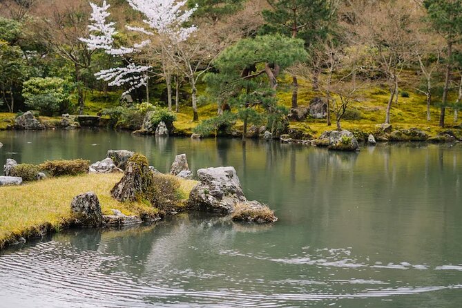 Kyoto Arashiyama Walking Tour: Bamboo, Monkeys, Gardens & Secrets - Pace, Fitness, and What to Wear