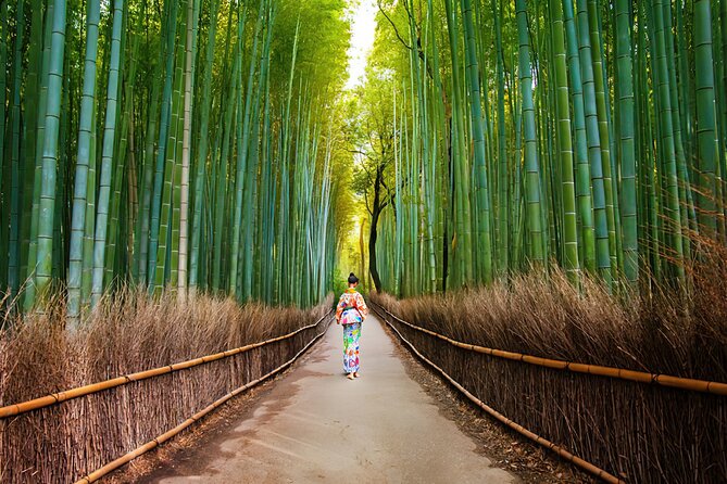 Kyoto Arashiyama Walking Tour: Bamboo, Monkeys, Gardens & Secrets - Nonomiya Shrine: A Quiet Start with Meaning