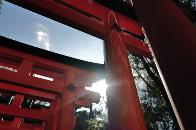 Kyoto Early Morning Tour with English-Speaking Guide - Weather reality: when Kyoto says no to plans