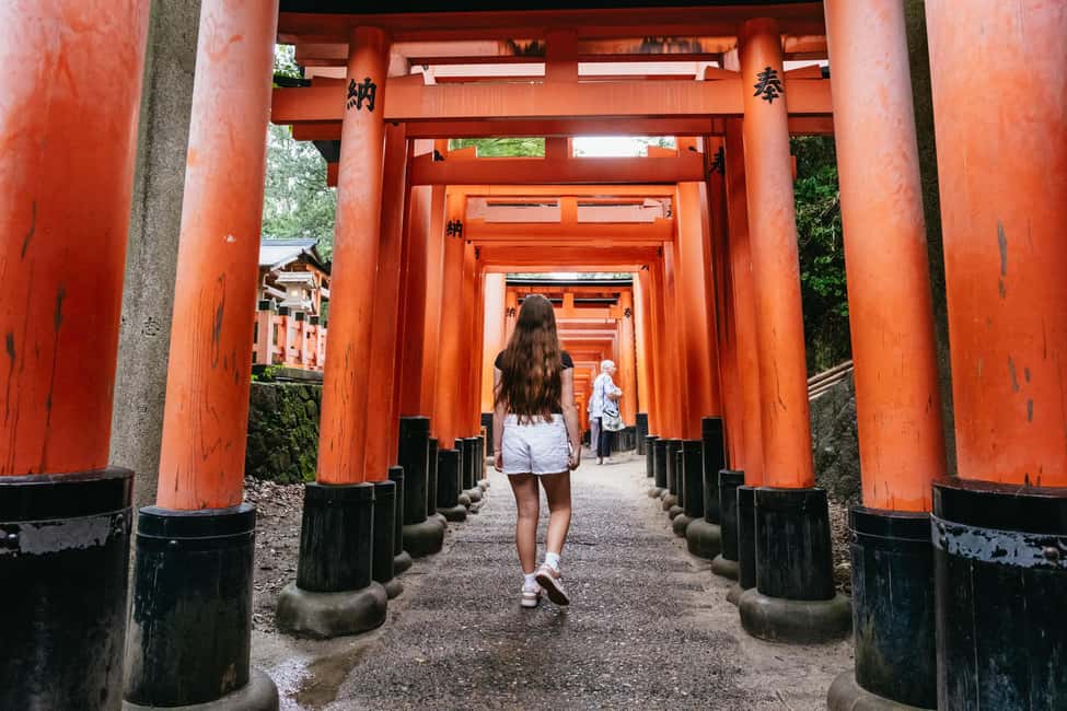 Kyoto: Full-Day Guided Bus Tour to Top Highlights & Tickets - How the day’s rhythm really feels: a full-day highlights sprint