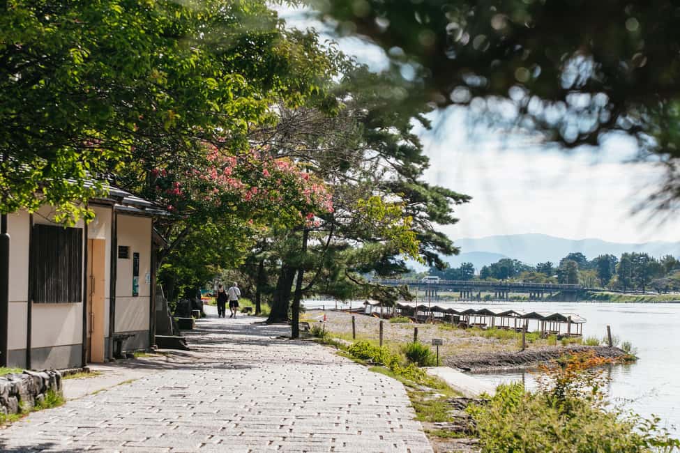 Kyoto: Full-Day Guided Bus Tour to Top Highlights & Tickets - Arashiyama Bamboo Grove: peaceful vibes, early-to-midday reality
