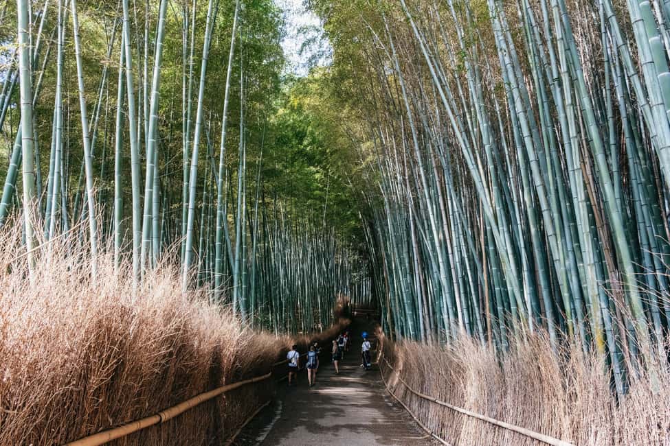 Kyoto: Full-Day Guided Bus Tour to Top Highlights & Tickets - Kiyomizu-dera: the stage, the valley views, and the stairs tax
