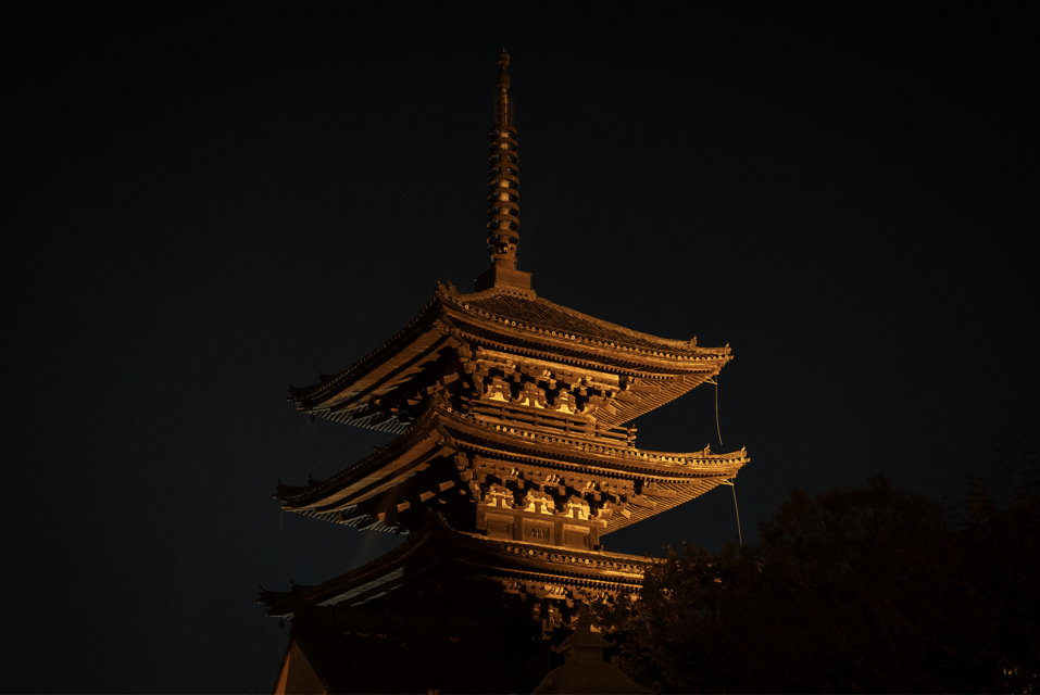 Kyoto: Izakaya Bars Guided Walking Tour - Should You Book This Kyoto Izakaya Bar-Hopping Tour?