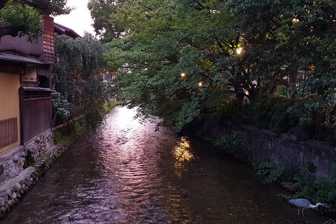 Kyoto Nighttime All-Inclusive Eats and Streets, Gion and Beyond - Smart tips to make the evening smoother