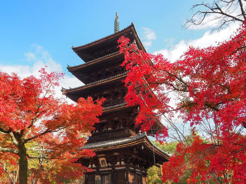 Kyoto: Ninnaji Temple Entry Ticket - What your Ninna-ji entry ticket includes (and what it doesn’t)