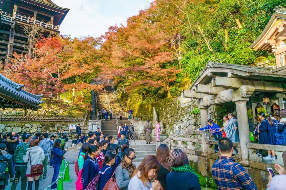 Kyoto: Private Tour with Local Licensed Guide - How a private guide turns Kyoto into a route you can actually follow