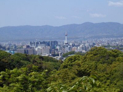 Kyoto: Private Tour with Local Licensed Guide - Starting in the right place: pickup, walking, and moving between sites