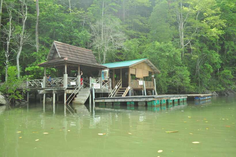 Langkawi: Kilim Mangrove Boat Tour with Lunch and Pickup - After the tour: how to get the exclusive mangrove picture