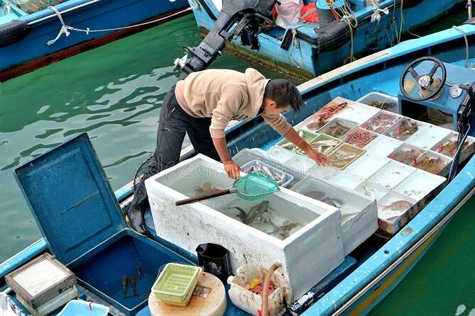 Lantau Island Day Trip - Big Buddha & Tai O - Stop 3: Tai O Fishing Village, Stilt-House Streets, and Dolphin Watching by River Cruise