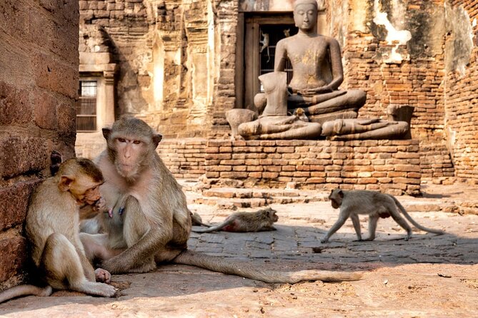 Lopburi Monkey Temple & Ayutthaya Old City Tour From Bangkok - Morning Logistics From Bangkok: Pickup, Timing, and Getting There