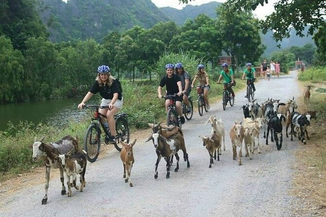 Luxury small Group Hoa Lu - Tam Coc - Mua Cave Max 6 - 8 pax/tour - Pace, timing, and what to plan for on a 9-hour loop