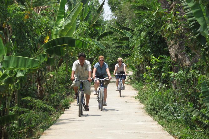 Mekong Delta 4 Islands, TukTuk, Boat, Try Khot Cake Local Cooking - Coconut Candy, Honey Tea, and Tuk-Tuk Village Stops
