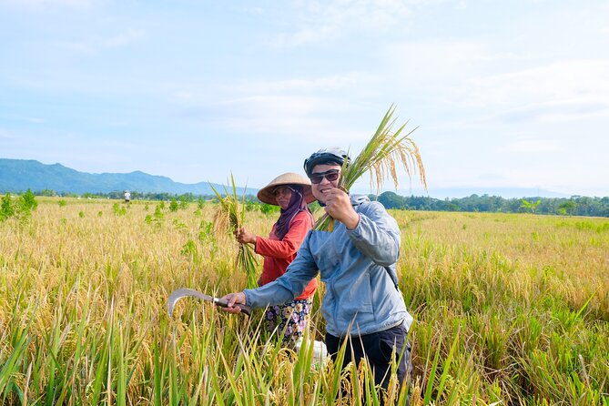Menoreh Village Cycling - Price and value: what $22 covers in rural Yogyakarta