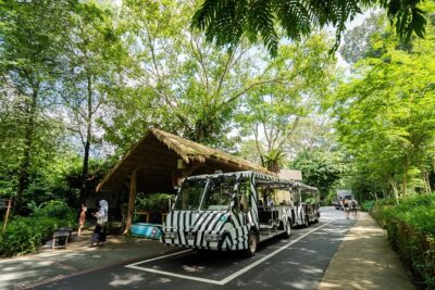 Morning at the Zoo with 1-way Transfer (Free & Easy) - Jungle Breakfast at Ah Meng Restaurant: Food, Wildlife, and the Orangutan Factor