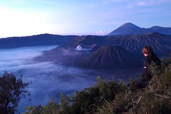 Mount Bromo Sunrise Tour from Surabaya or Malang - 1 Day - Pickup, Night Drive, and the 4WD Jeep Reality Check