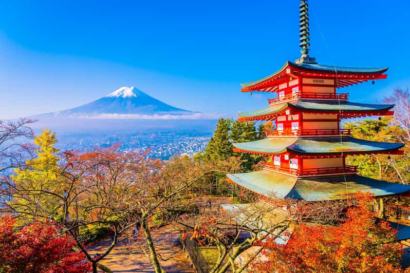 Mount Fuji Full-Day Private Tour from Tokyo (Customizable) - Quick take: what makes this Fuji day tour work