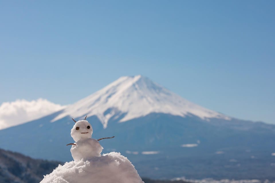 Mount Fuji Full-Day Private Tour from Tokyo (Customizable) - Why a private Mount Fuji day feels different than buses