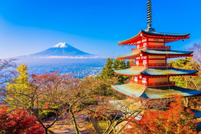 Mount Fuji Full-Day Private Tour from Tokyo (Customizable) - Road trip comfort from Tokyo: timing, pickup, and driver style