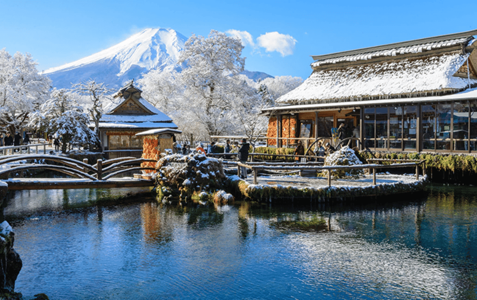 Mount Fuji Full-Day Private Tour from Tokyo (Customizable) - Oishi Park and Saiko Iyashi no Nenba: quieter scenery with stronger atmosphere