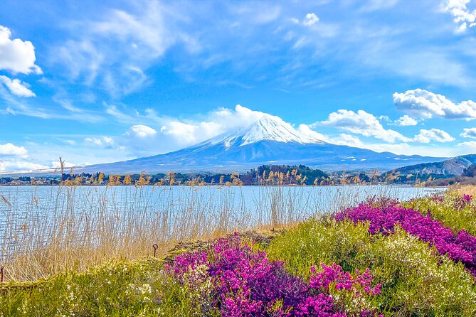 Mount Fuji, Kamakura, Big Buddha, & Lake Ashi Day Trip - Starting at 7:00 AM: why that matters