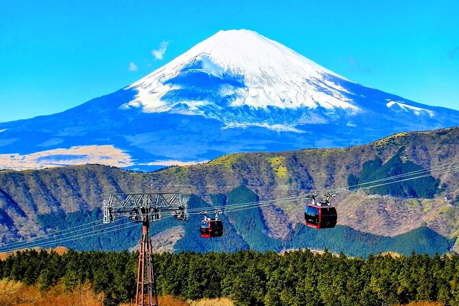 Mt Fuji and Hakone 1-Day Bus Tour Return by Bus - Lunch at the Base of Mt. Fuji: What’s Included and What to Plan For