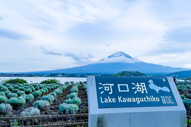 Mt FUJI Day Tour with Private Car and English Speaking Guide - Why this private Mt. Fuji day tour feels different from a bus