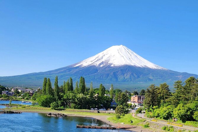 Mt FUJI Day Tour with Private Car and English Speaking Guide - Pickup, timing, and how to beat Tokyo traffic