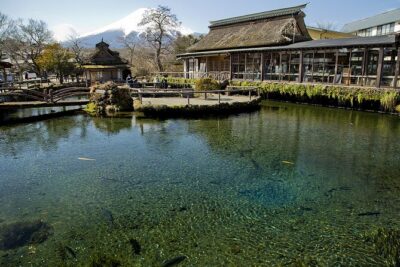 Mt FUJI Day Tour with Private Car and English Speaking Guide - Price and the real cost picture (what you pay vs. what you add)