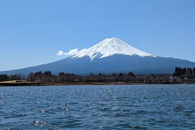 Mt. Fuji Day Trip from Tokyo with English Speaking Driver Guide - Pickup and the English-speaking driver-guide factor