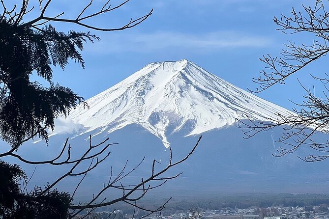 Mt. Fuji Day Trip from Tokyo with English Speaking Driver Guide - Oshino Hakkai and Oishi Park: classic Fuji scenery in smaller doses