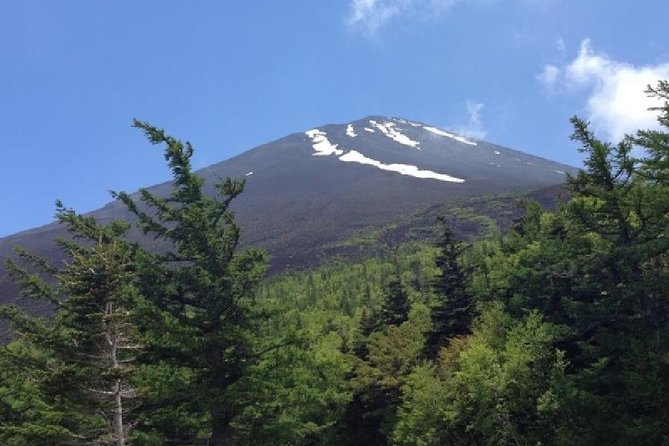 Mt Fuji & Hakone Cruise, Drum Show Bus 1 Day from Tokyo - Lake Ashi on the Sorakaze: quick cruise, big postcard payoff