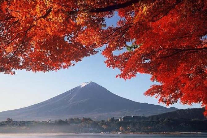 Mt Fuji & Hakone Cruise, Drum Show Bus 1 Day from Tokyo - Value and what you actually get for $122.55