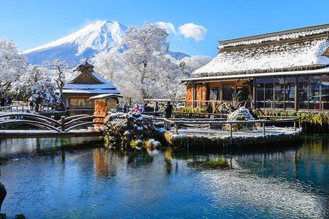 Mt. Fuji, Hakone Full-Day Private Tour with English Driver Guide - Key moments that make this tour worth your time