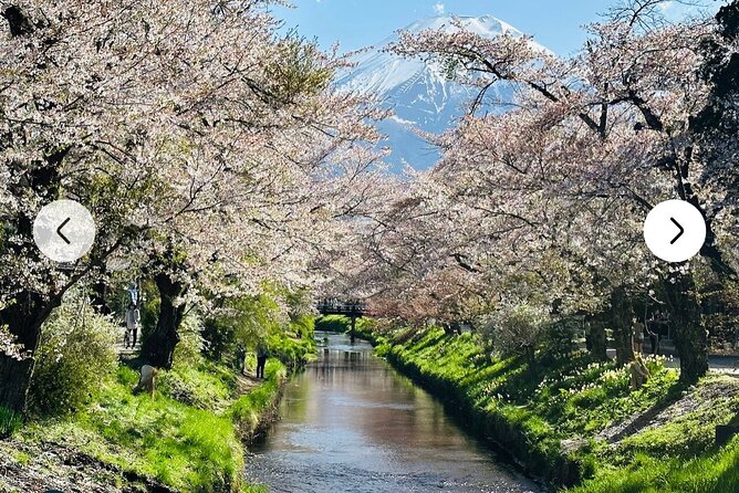 Mt. Fuji, Hakone Full-Day Private Tour with English Driver Guide - Price and what you’re really buying with a private group of up to 7