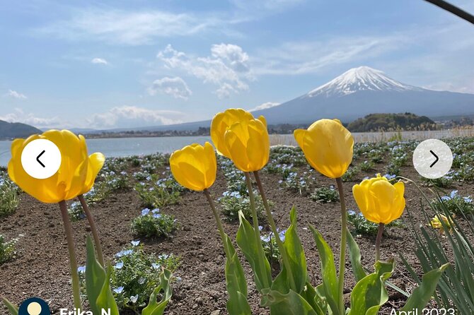 Mt. Fuji, Hakone Full-Day Private Tour with English Driver Guide - Mt. Fuji Subaru Line 5th Station: the altitude payoff and the souvenir reality