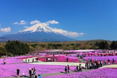 Mt. Fuji, Hakone Full-Day Private Tour with English Driver Guide - The real logistics: 10 hours, many stops, and why weather changes everything