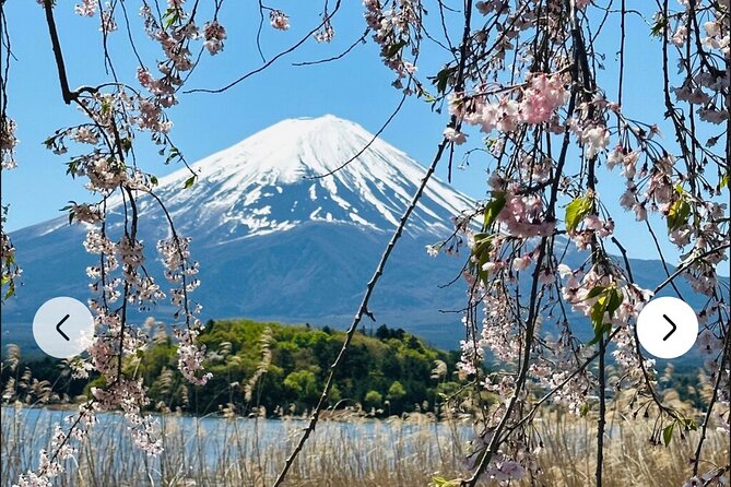 Mt. Fuji, Hakone Full-Day Private Tour with English Driver Guide - Lake Kawaguchiko: Fuji reflections, cruise energy, and the Kachi Kachi option
