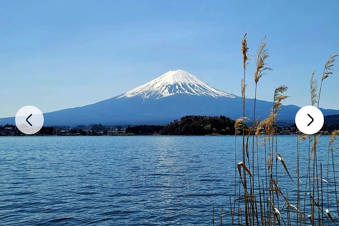 Mt. Fuji, Hakone Full-Day Private Tour with English Driver Guide - Owakudani Kurotamago: steaming volcanic drama and the black egg story