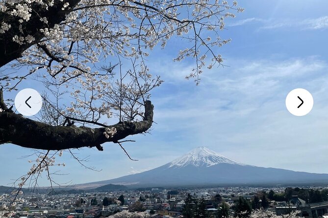 Mt. Fuji, Hakone Full-Day Private Tour with English Driver Guide - Hakone Lake Ashi and the red torii: where photos get real