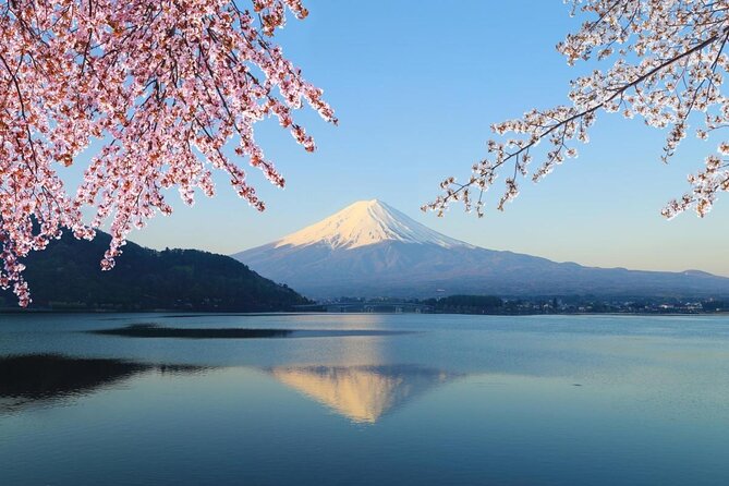 Mt. Fuji & Hakone Private Day Tour with English-Speaking Driver - Key Things I’d Book This For