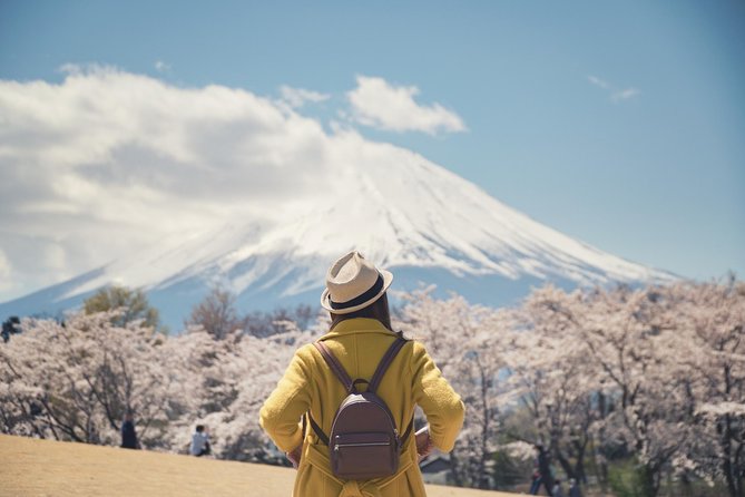 Mt. Fuji & Hakone Private Day Tour with English-Speaking Driver - A Private Car That Lets You Actually Shop for Views