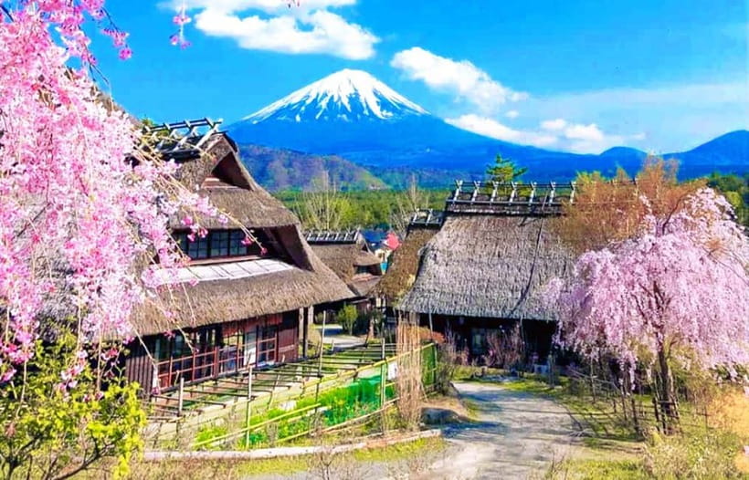 Mt. Fuji Heritage Tour: Traditional Villages, Lakes & Shrine - Key things to know before you go