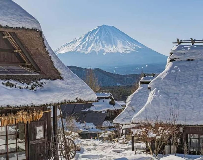 Mt. Fuji Heritage Tour: Traditional Villages, Lakes & Shrine - Lake Kawaguchi parks: Oishi Park vs Maple Corridor in peak autumn