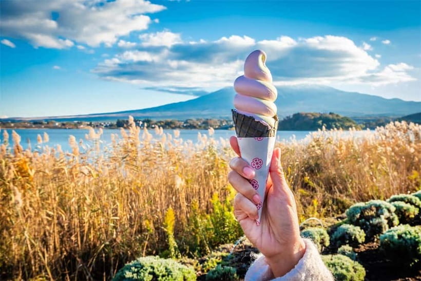 Mt. Fuji Heritage Tour: Traditional Villages, Lakes & Shrine - Chureito Pagoda timing: how to get the shot without burning time