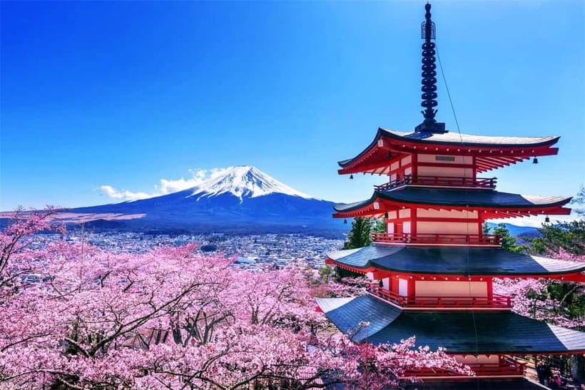 Mt. Fuji Heritage Tour: Traditional Villages, Lakes & Shrine - The bus and guide experience: why it feels smooth in practice