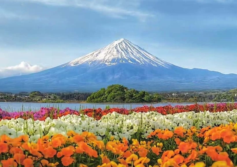 Mt. Fuji Heritage Tour: Traditional Villages, Lakes & Shrine - Timing details you should plan around