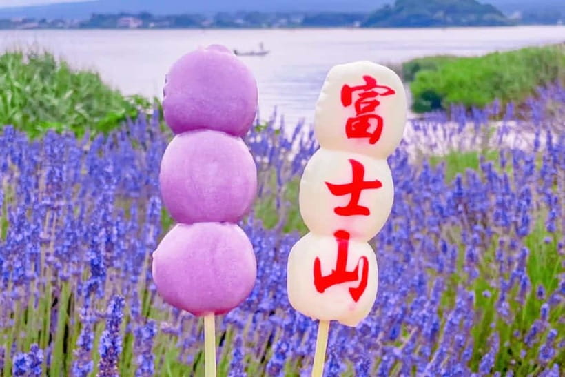 Mt. Fuji Heritage Tour: Traditional Villages, Lakes & Shrine - Price and value: what $50 buys, and what you’ll pay separately