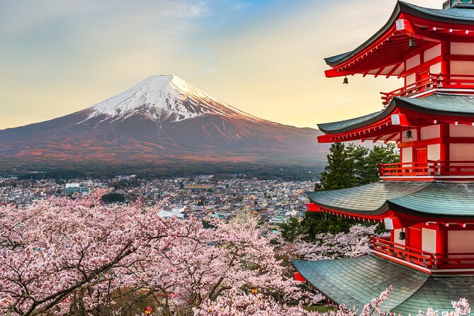 Mt Fuji Private Day Trip from Tokyo with English speaking driver - Key Moments That Make This Tour Work Well