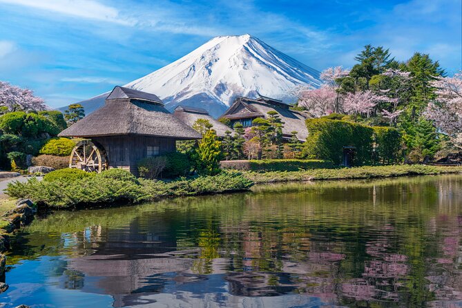 Mt Fuji Private Day Trip from Tokyo with English speaking driver - Price and Logistics That Affect Your Real Day