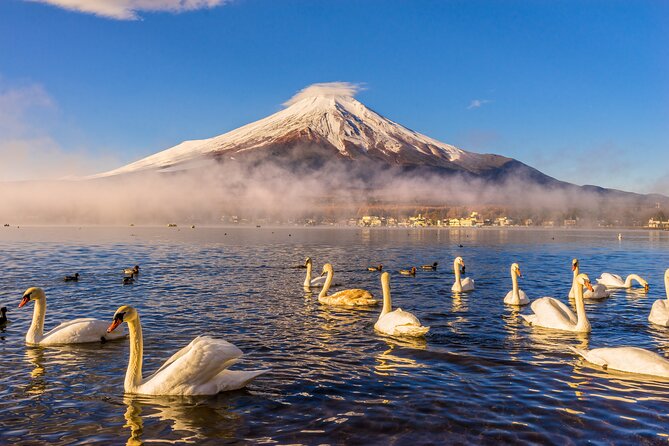 Mt Fuji Private Day Trip from Tokyo with English speaking driver - Oshino Hakkai Ponds: Classic Fuji Village Scenery